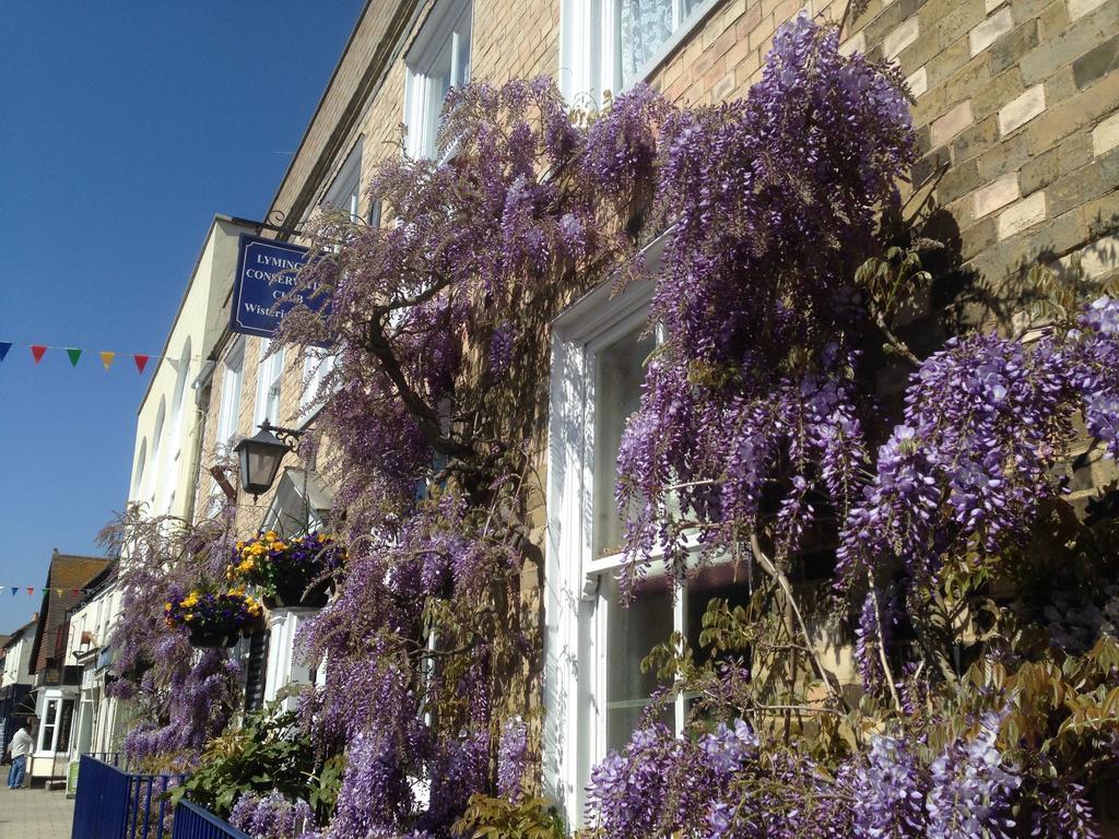 リミントン Wisteria House Bed & Breakfast エクステリア 写真